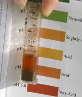 sample tested for ph